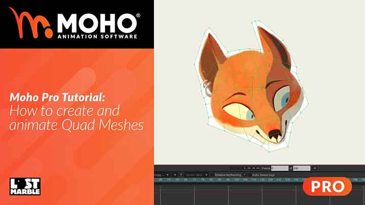 How to Create and Animate Quad Meshes in Moho