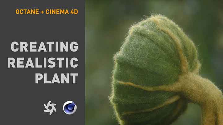 Rendering a Super-Realistic Plant With Octane and C4D