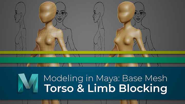 Modeling a Base Mesh