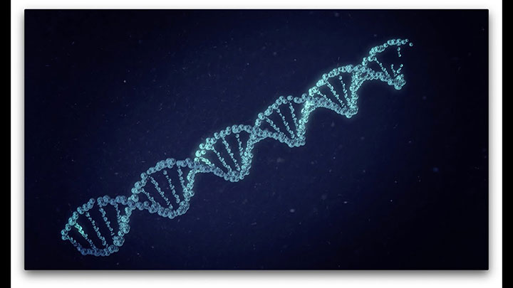 Double Helix Two Ways in Fusion