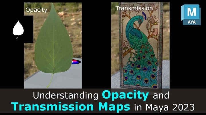 Understanding Transmission vs. Opacity in Arnold Standard Surface