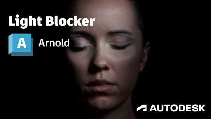 How to Use the Arnold Light Blocker Working in Maya